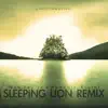 Christian Reindl - Now You're a Home (Remix) [feat. Sleeping Lion & Ruuth] - Single